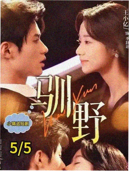 回声档案 高清电视剧在线观看