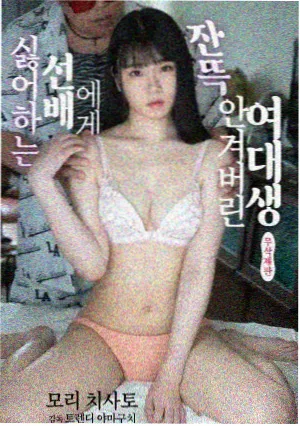 鹤归山 热播电视剧免费追